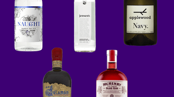 Different Gin Styles and How to Drink Them