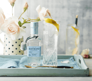 Hayman's Small Gin and Tonic on tray
